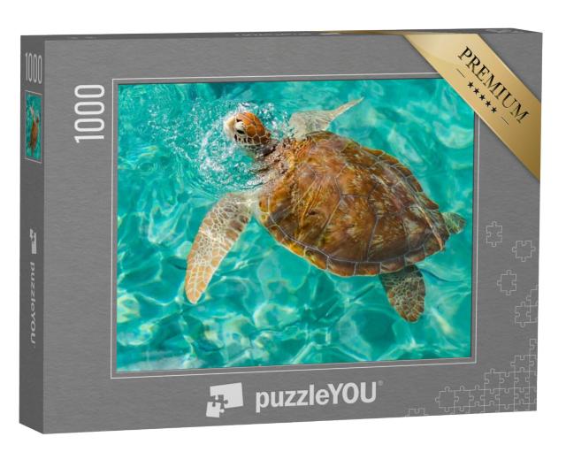 Puzzel 1000 stukjes „Schildpad in Westpunt, Caribisch eiland Curaçao“