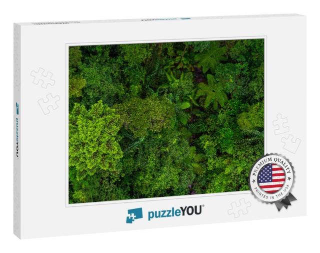 Aerial Top View of Tropical Forest - Beautiful Tranquil S... Jigsaw Puzzle