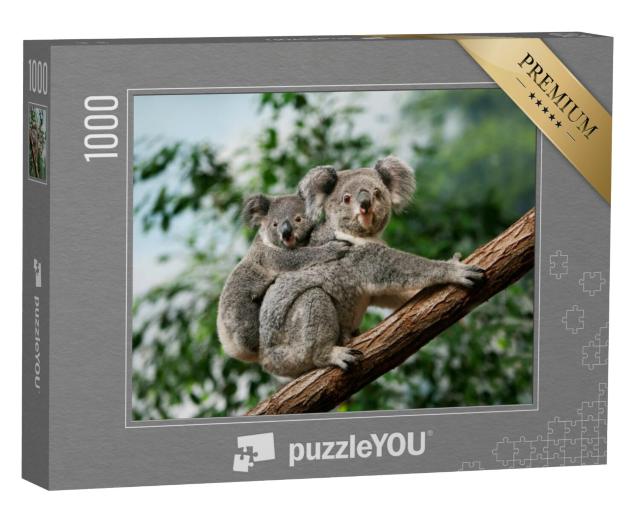 Puzzel 1000 stukjes „Koala welp knuffelt op de rug van zijn moeder“