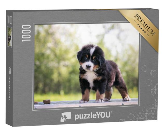 Puzzel 1000 stukjes „Schattige Berner Sennenhond puppy“