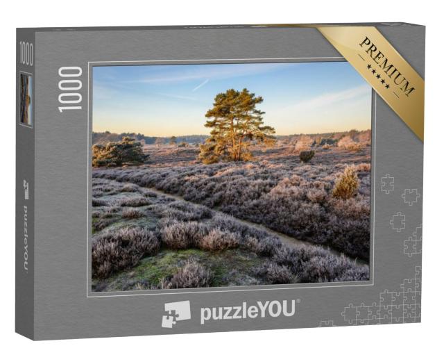 Puzzel 1000 stukjes „Wandelpad door een heidelandschap in de landelijke Nederlandse provincie Drenthe“