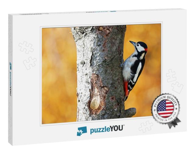 Great Spotted Woodpecker with Yellow Background... Jigsaw Puzzle