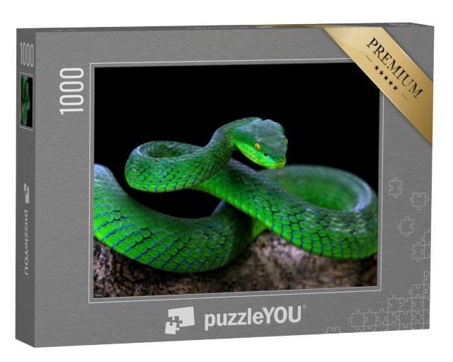 Puzzel 1000 stukjes „Groene albolaris slang“