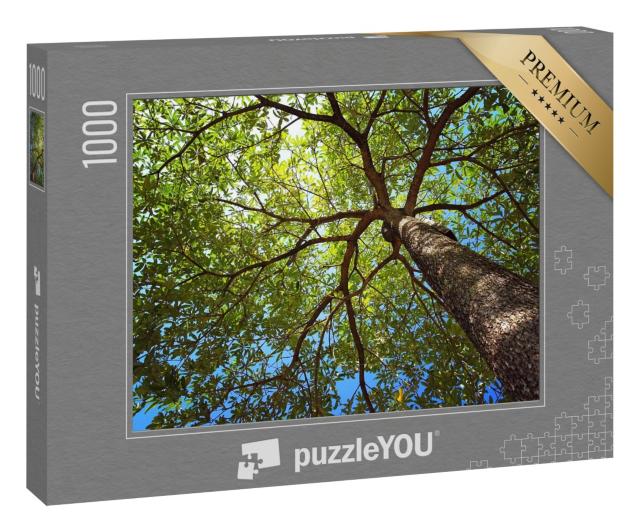 Puzzle 1000 Teile „Foto bis zur Baumkrone von unten aufgenommen“