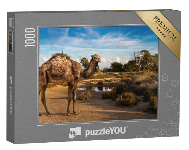 Puzzel 1000 stukjes „Een ruige dromedaris bij een waterpoel“