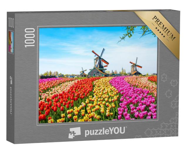 Puzzel 1000 stukjes „Landschap met tulpen en windmolens, Nederland“