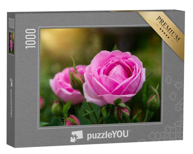 Puzzel 1000 stukjes „Roze damast rozenbloesem met zonlicht“