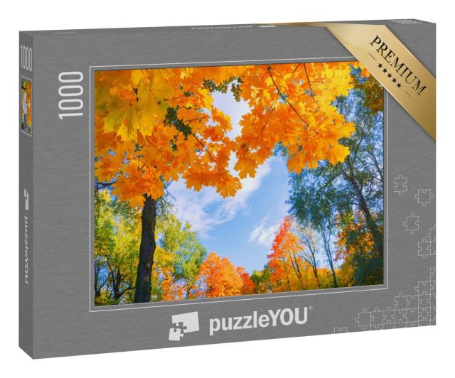 Puzzle 1000 Teile „Wunderschöne Landschaft: Goldenes Laub im Herbst“