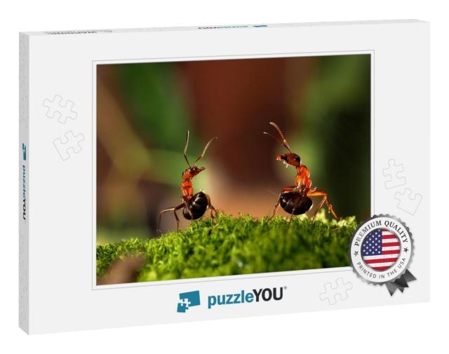 Battle of Two Ants. Beautiful Ants Are on the Moss Liftin... Jigsaw Puzzle