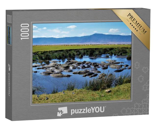 Puzzel 1000 stukjes „Nijlpaardenbassin, Ngorongorokrater, Tanzania“