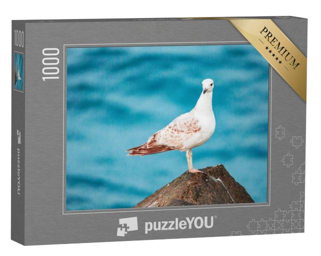 Puzzel 1000 stukjes „Een zeemeeuw aan zee“