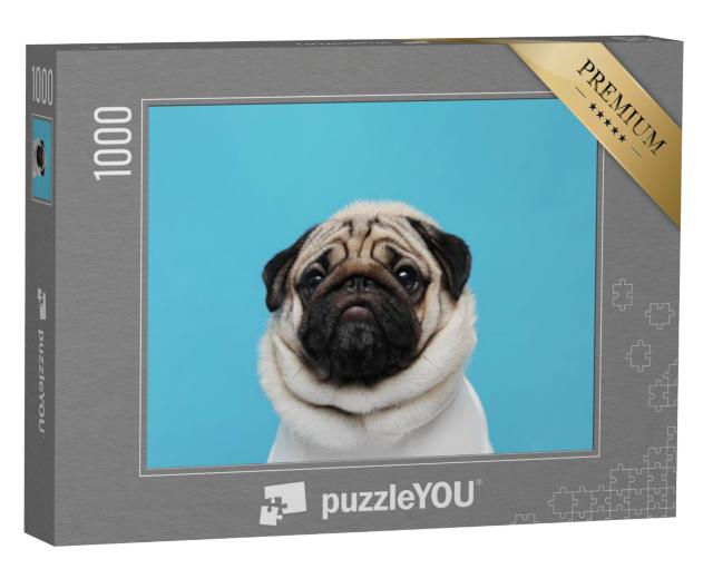 Puzzel 1000 stukjes „Een onweerstaanbaar mopshondgezicht“