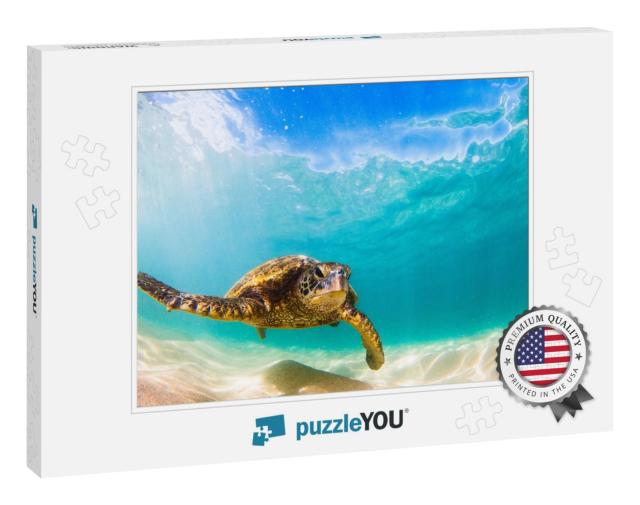 Hawaiian Green Sea Turtle Cruising in the Warm Waters of... Jigsaw Puzzle