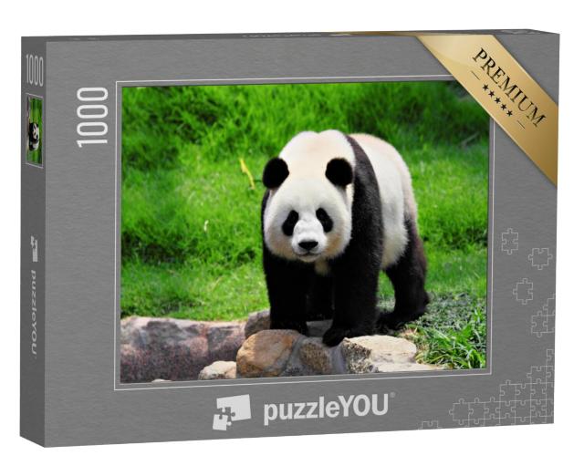 Puzzel 1000 stukjes „Panda“