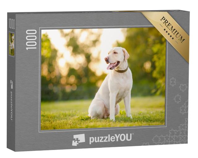 Puzzel 1000 stukjes „Attente Labrador Retriever“