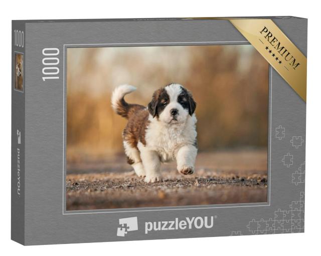 Puzzel 1000 stukjes „Sint Bernard puppy“