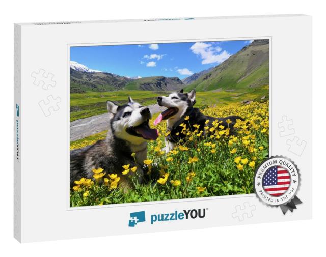 Two Siberian Husky Dogs on a Walk in the Mountains in Sum... Jigsaw Puzzle