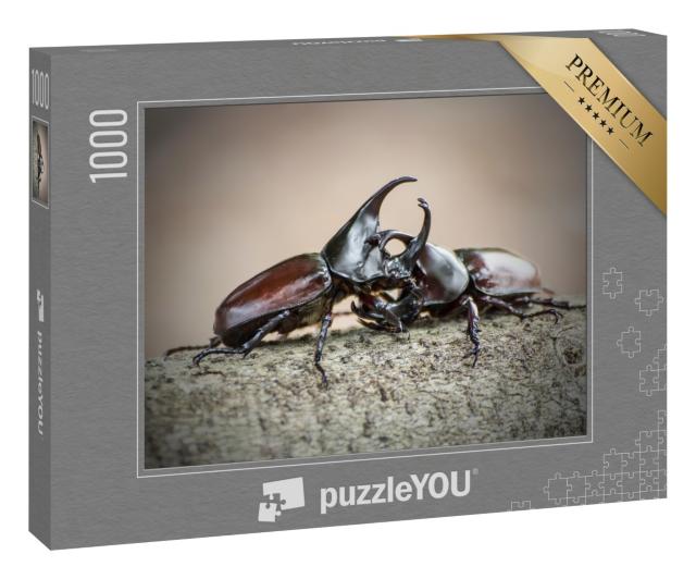 Puzzle 1000 Teile „Nashornkäfer, auch bekannt als Rhinozeroskäfer oder Kampfkäfer“