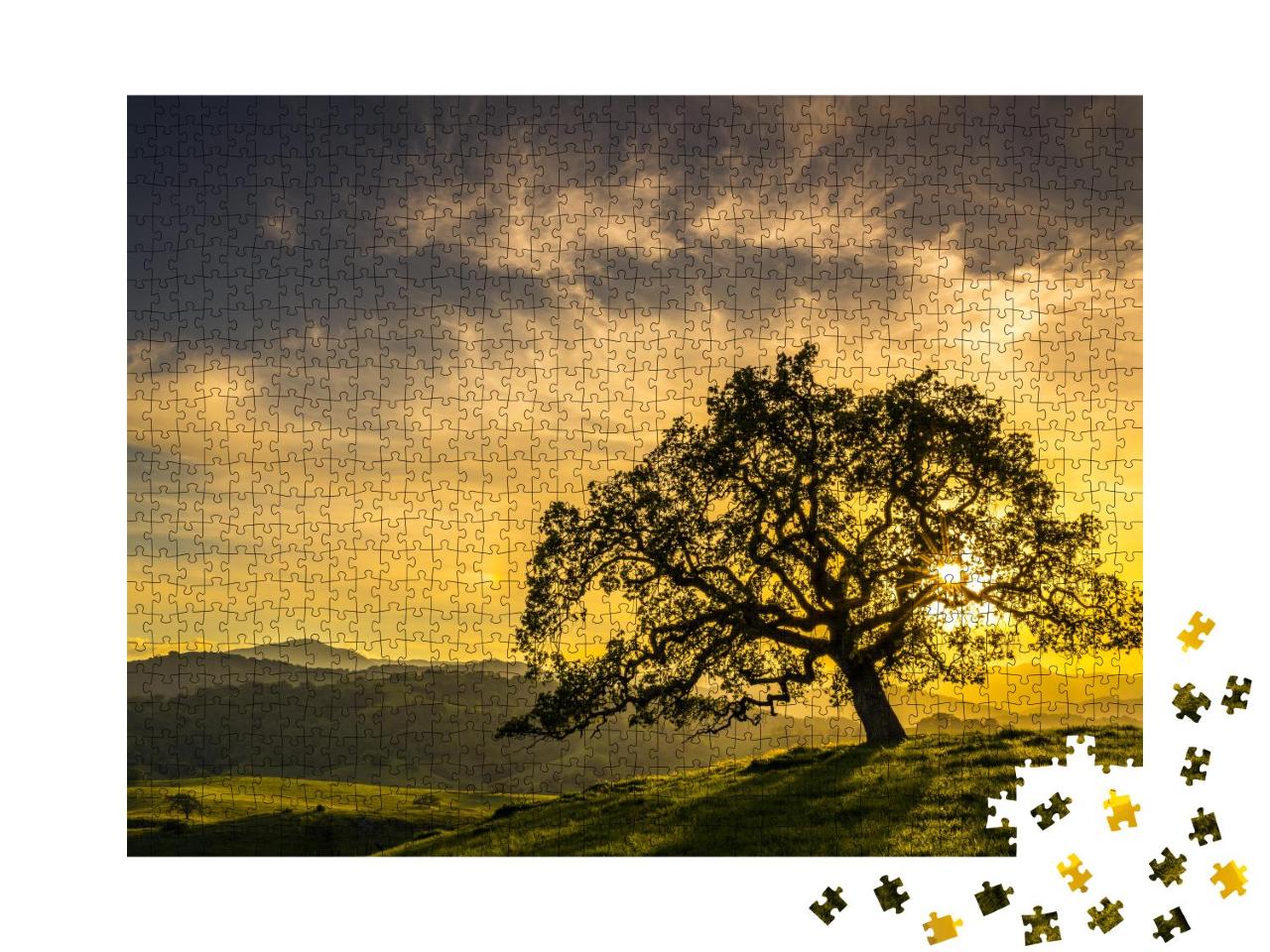 Puzzle 1000 Teile „Sonnenuntergang durch eine Eiche in der Nähe von San Jose, Kalifornien“