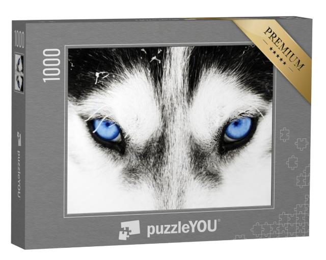 Puzzel 1000 stukjes „Close-up: de blauwe ogen van een husky hond“