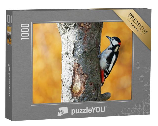 Puzzel 1000 stukjes „Grote bonte specht in het herfstbos“