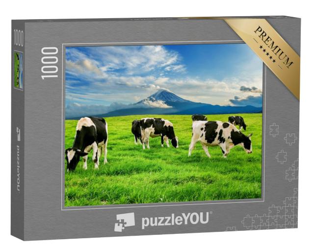 Puzzel 1000 stukjes „Koeien eten weelderig gras op een groene weide voor de berg Fuji in Japan“