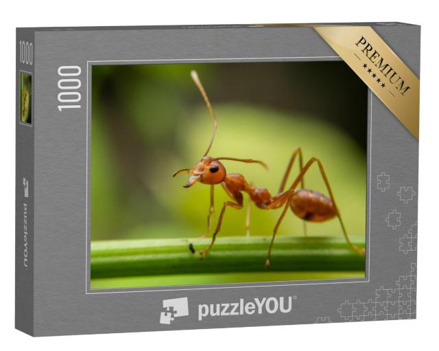 Puzzel 1000 stukjes „Rode mieren zoeken voedsel op groene takken“