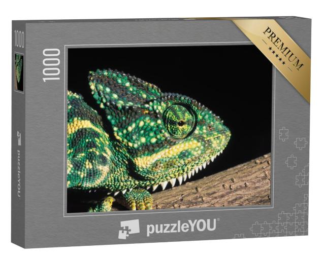 Puzzel 1000 stukjes „Indische kameleon, India“