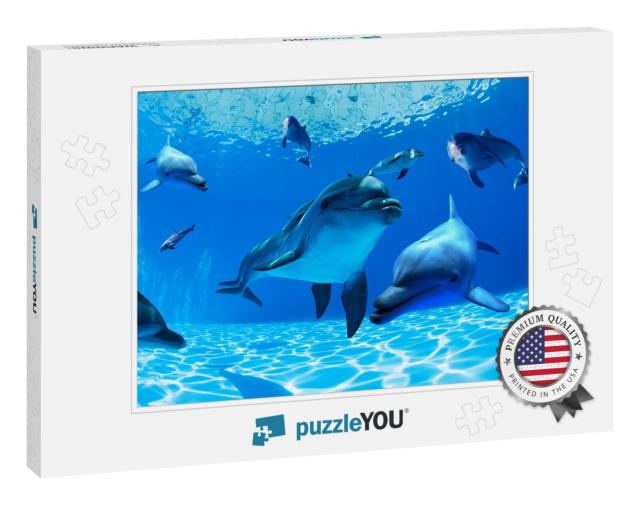 Dolphins Are Swimming in the Deep Waters... Jigsaw Puzzle