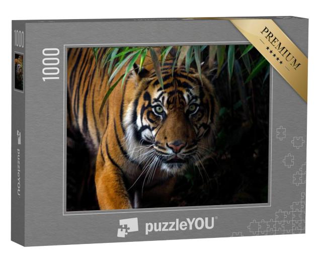 Puzzel 1000 stukjes „Prachtige Sumatraanse tijger op jacht“