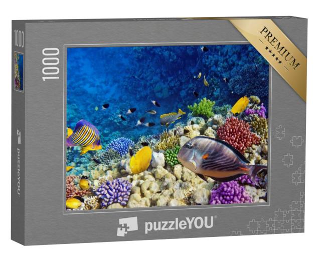 Puzzel 1000 stukjes „Kleurrijke koralen en vissen in de Rode Zee bij Egypte“