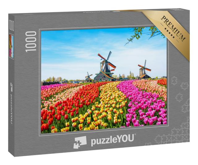 Puzzle „Landschaft mit Tulpen und Windmühlen, Niederlande“
