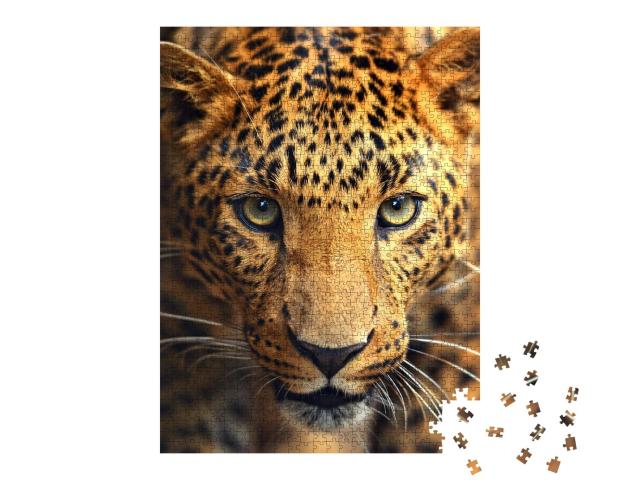Puzzle 1000 Teile „Auge in Auge mit einem Leoparden“