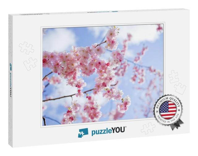 Blooming Sakura with Pink Flowers in Spring... Jigsaw Puzzle