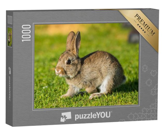 Puzzel 1000 stukjes „Konijn, haas“