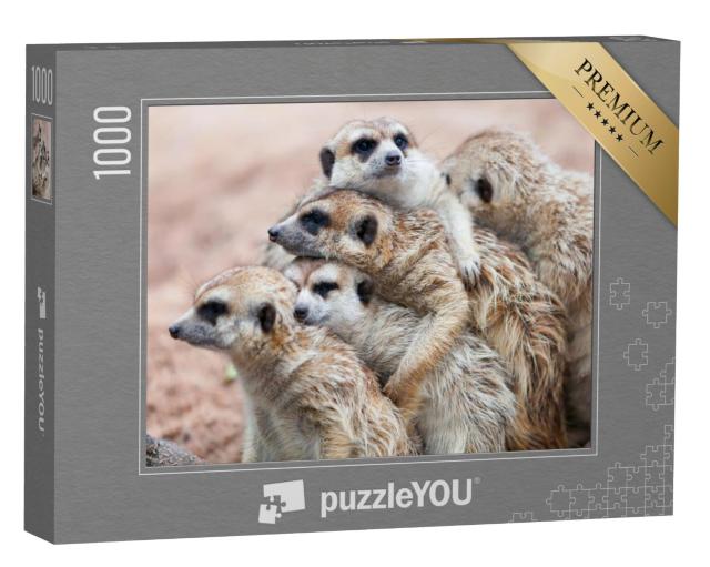 Puzzel 1000 stukjes „Stokstaartjes knuffelen elkaar op een regenachtige dag“