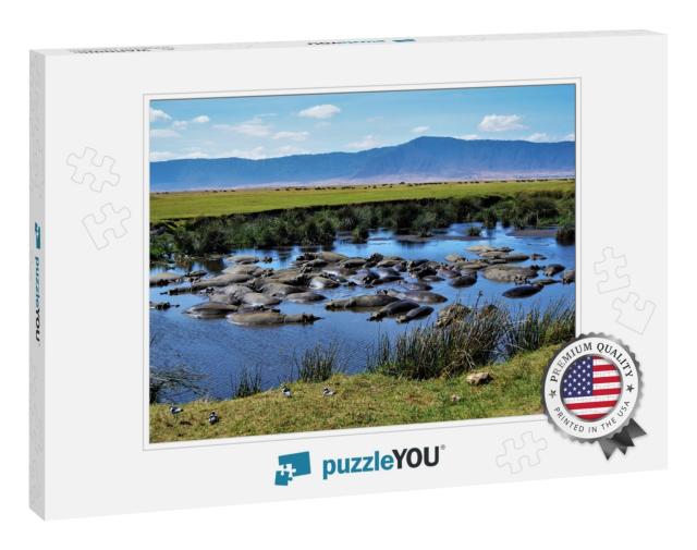 Hippo Pool, Ngorongoro Crater, Tanzania... Jigsaw Puzzle