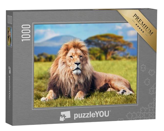 Puzzel 1000 stukjes „Grote leeuw in savannegras“