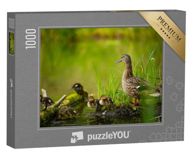 Puzzel 1000 stukjes „Vrouwtjes wilde eend met kleine eendjes bij een rivier“