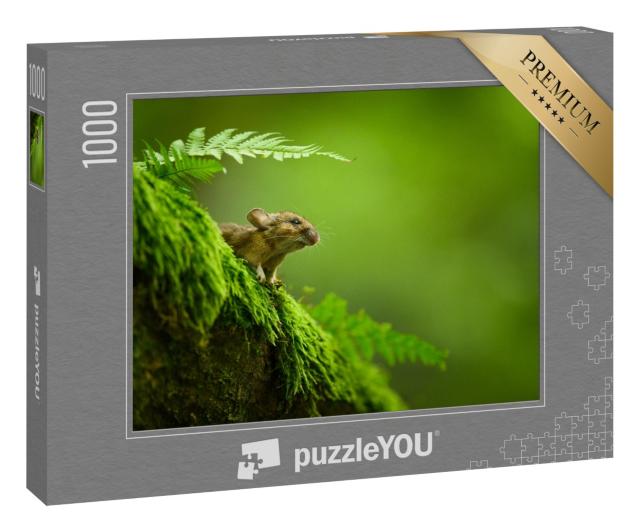 Puzzle 1000 Teile „Neugierige Hausmaus auf einem moosigen Baumstamm“
