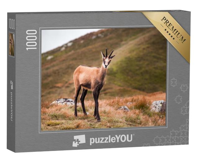 Puzzel 1000 stukjes „Gemzen in de bergen, Lage Tatra, Slowakije“