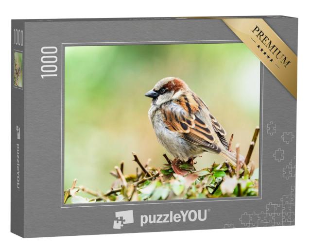 Puzzel 1000 stukjes „Een kleine mus“