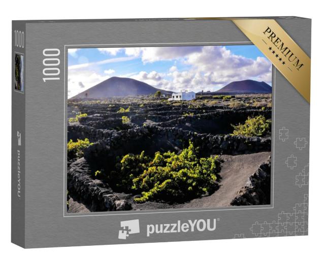 Puzzel 1000 stukjes „Wijngaarden van La Geria, Lanzarote, Canarische Eilanden, Spanje“