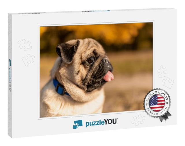 Portrait of a Pug Dog Sitting in the Autumn Park on Yello... Jigsaw Puzzle