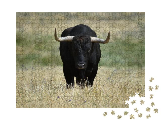 Puzzle 1000 Teile „Ein schwarzer Stier mit großen Hörnern auf dem Feld“