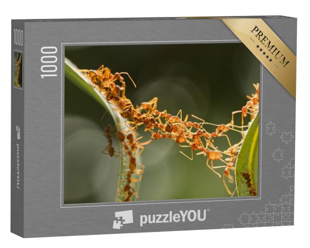 Puzzel 1000 stukjes „Een mierenbrug“