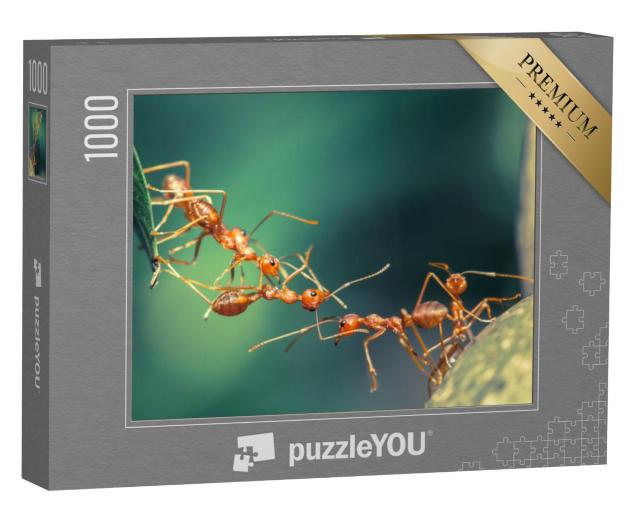 Puzzel 1000 stukjes „Gestandaardiseerde mierenbrug“