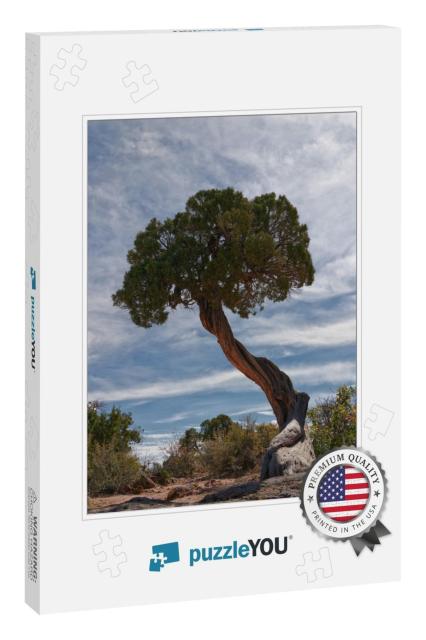 Ancient Juniper Tree At the Black Canyon of the Gunnison... Jigsaw Puzzle