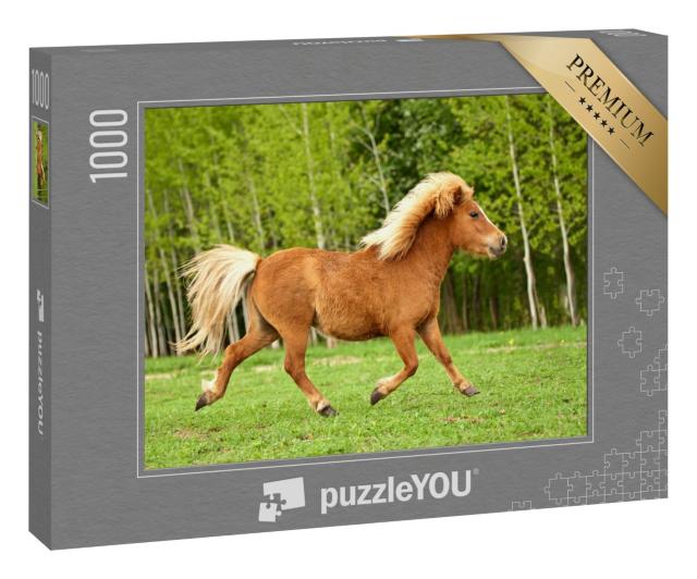 Puzzle 1000 Teile „Pony im Trab auf einer Sommerwiese“