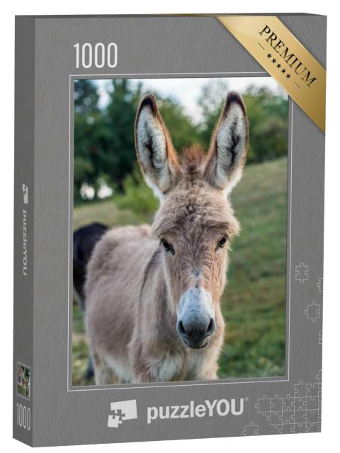 Puzzel 1000 stukjes „Jonge ezels in de wei“